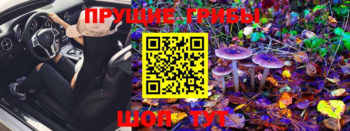 Псилоцибиновые грибы GOLDEN TEACHER  Галлюциногенные грибы ЛСД  Вход с VPN  Братск 