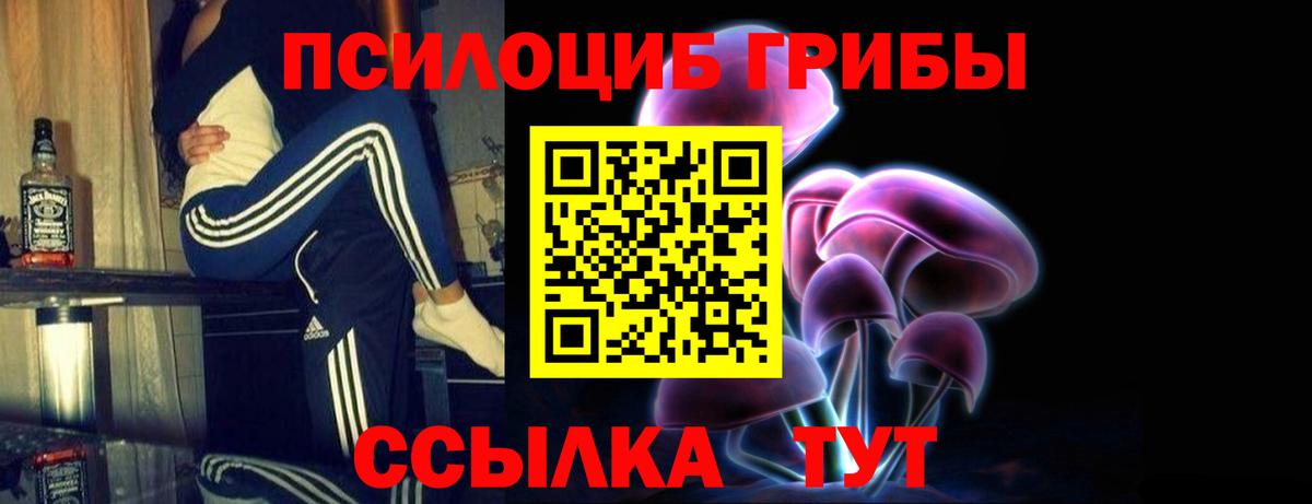 Галлюциногенные грибы GOLDEN TEACHER Братск